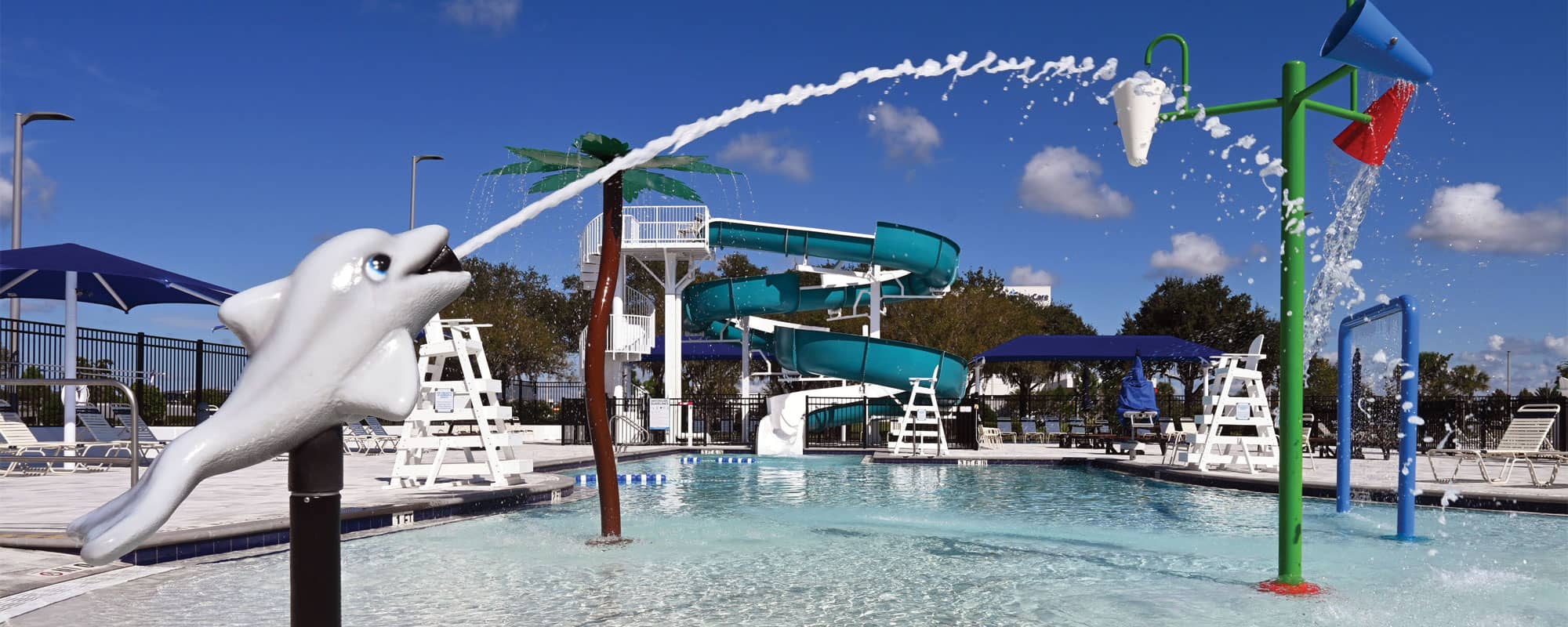 a dolphin sprayer, dumping buckets, and a palm tree water feature in a swimming pool with a blue waterslide