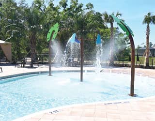 misting palm leaf water features and a three-piece dumping bucket water feature for swimming pool