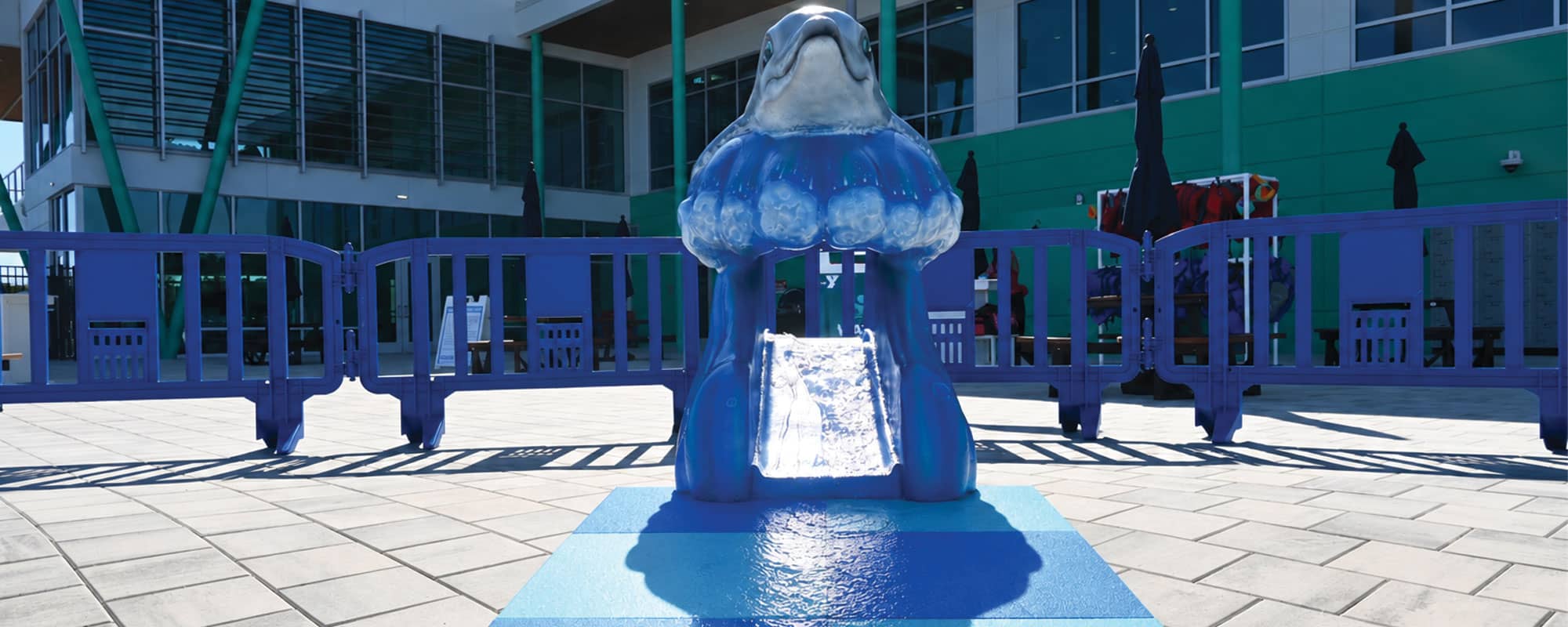 Devan Dolphin Fun Form® slide from Water Odyssey
