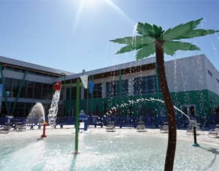 Aqua Palm and Aqua Buckets 3 emitting water.