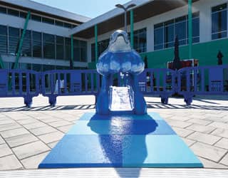 Devan Dolphin Fun Form® slide from Water Odyssey