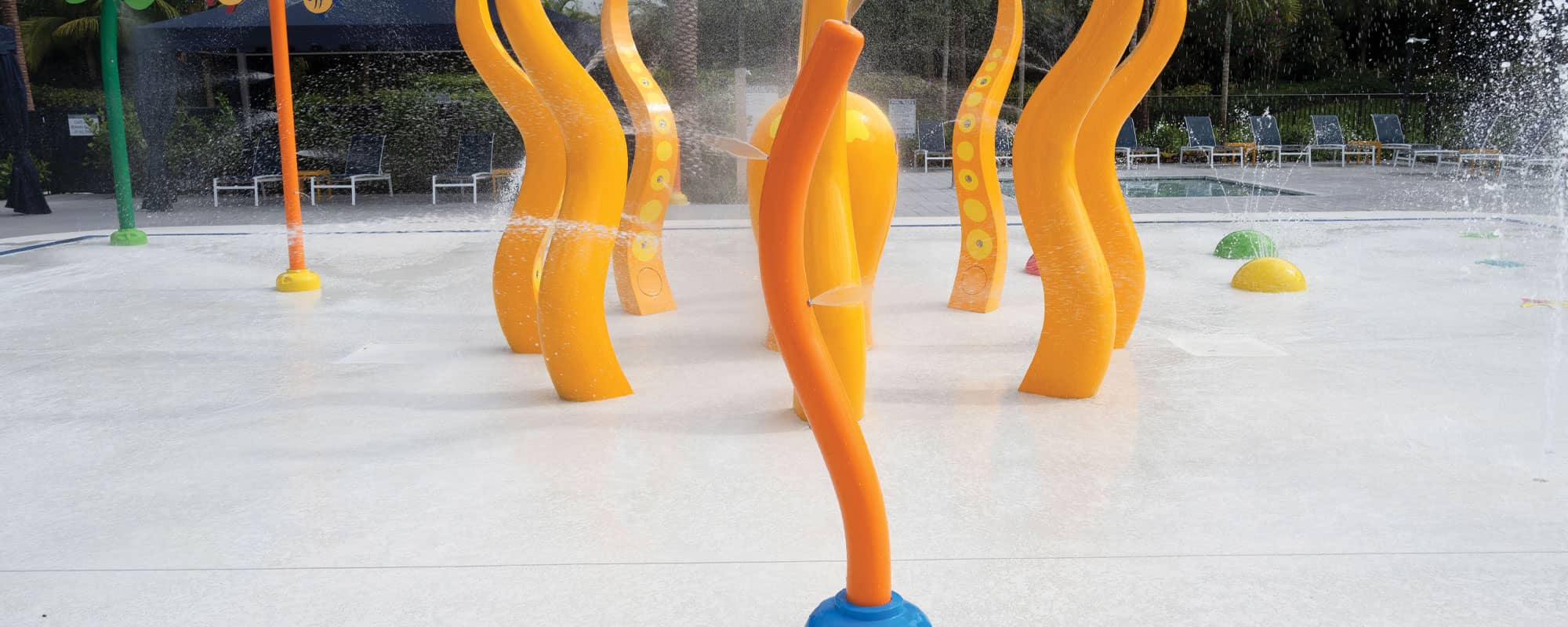 Lotus Splash Pad 