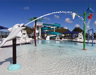 a dolphin sprayer, dumping buckets, and a palm tree water feature in a swimming pool with a blue waterslide